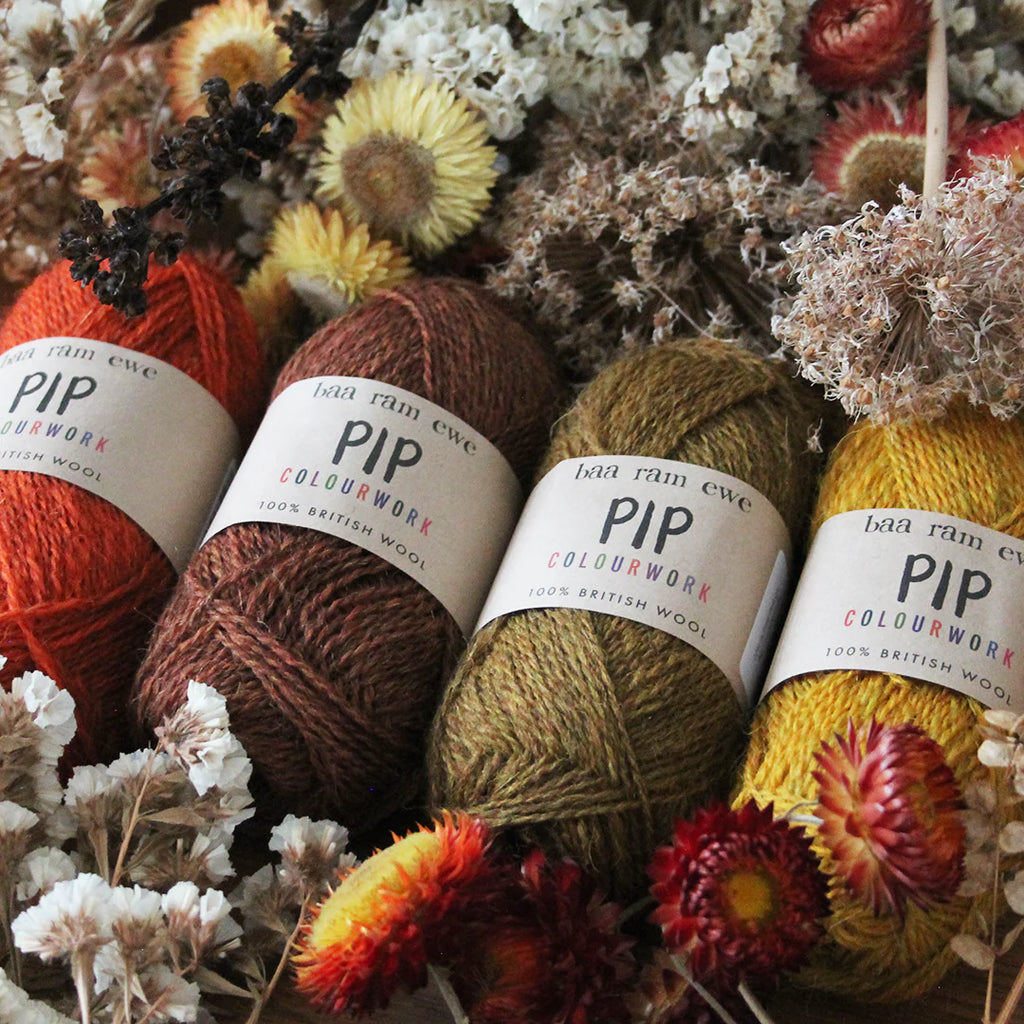 Image shows 4 balls of Pip Colourwork yarn in 4 autumnal colours