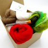 Toadstool - Needle Felting Kit