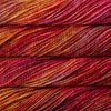 Malabrigo Vientos — 100g Zinnias